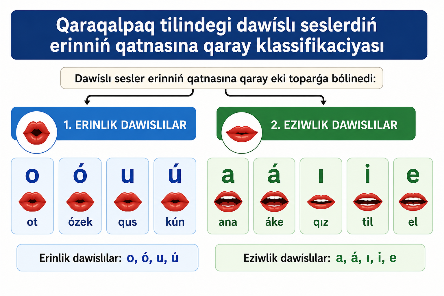 Qaraqalpaq tilindegi dawıslı seslerdiń erinniń qatnasına qaray bóliniwi